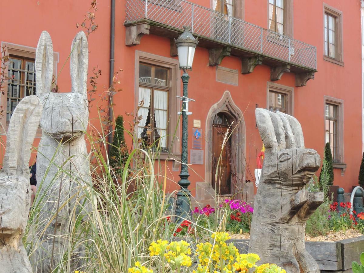 Appart'Azur Haguenau - Centre Grand'Rue - Logements Entiers Pour Voyageur Pro Esterno foto