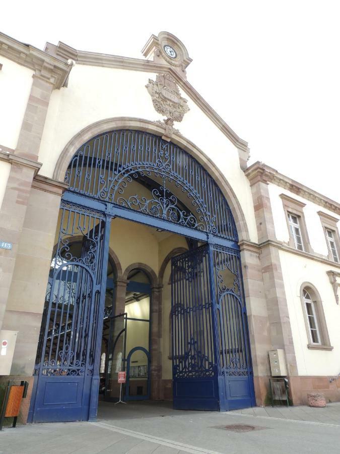 Appart'Azur Haguenau - Centre Grand'Rue - Logements Entiers Pour Voyageur Pro Esterno foto