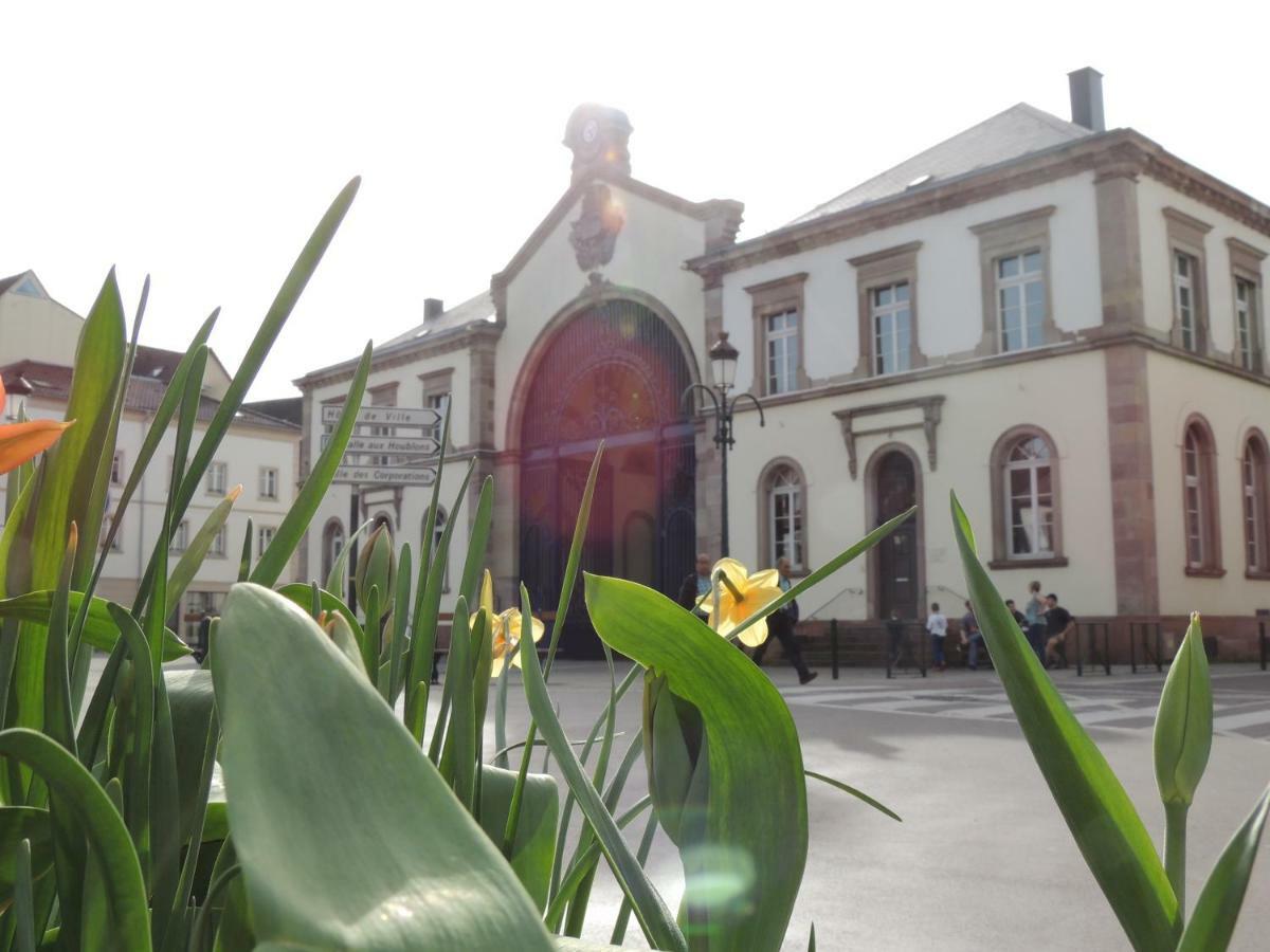 Appart'Azur Haguenau - Centre Grand'Rue - Logements Entiers Pour Voyageur Pro Esterno foto