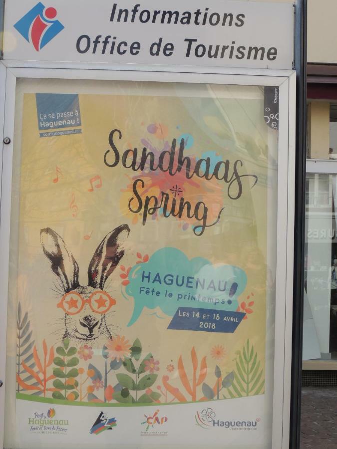 Appart'Azur Haguenau - Centre Grand'Rue - Logements Entiers Pour Voyageur Pro Esterno foto