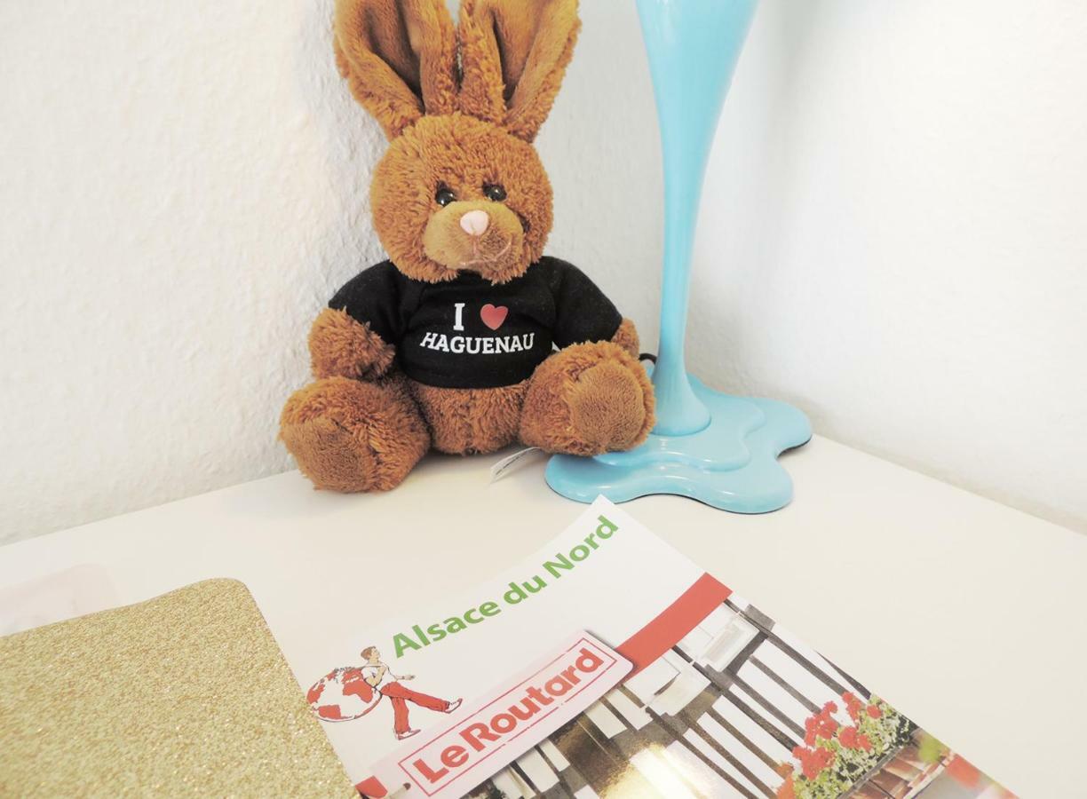 Appart'Azur Haguenau - Centre Grand'Rue - Logements Entiers Pour Voyageur Pro Esterno foto